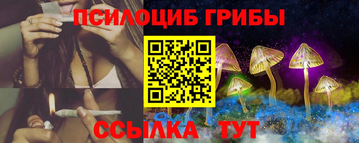 Псилоцибиновые грибы GOLDEN TEACHER Гатчина